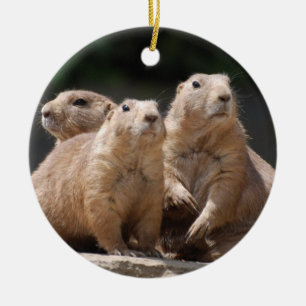 Prairie Dog Family Keramisch Ornament