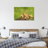 Prairie Dog Family on Den Canvas Afdruk (Insitu (Slaapkamer))