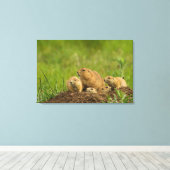 Prairie Dog Family on Den Canvas Afdruk (Insitu (Houten vloer))