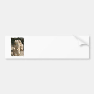 Prairie Dog Foto Bumpersticker