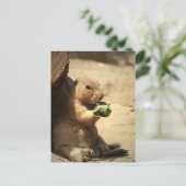 Prairie Dog Hanging Out Briefkaart (Staand voorkant)