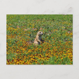 Prairie Dog in Flowers Briefkaart