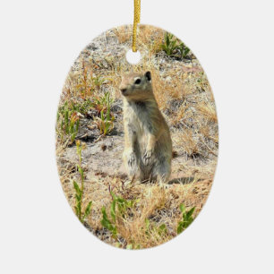 Prairie Dog in Yosemite, CA Keramisch Ornament