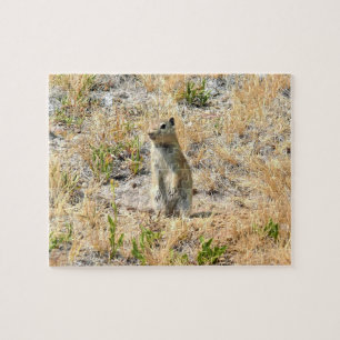 Prairie Dog in Yosemite, CA Legpuzzel