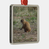 Prairie Dog kerstversiering Metalen Ornament (Rechts)
