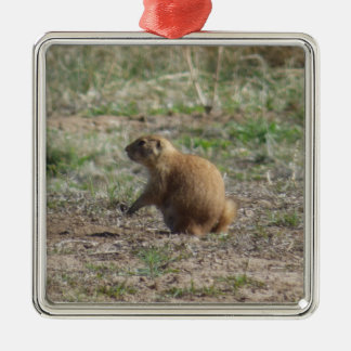 Prairie Dog kerstversiering Metalen Ornament