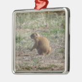 Prairie Dog kerstversiering Metalen Ornament (Links)