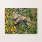 Prairie Dog Legpuzzel (Horizontaal)