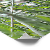 Prairie Dog Lunch Break Poster (Hoek)