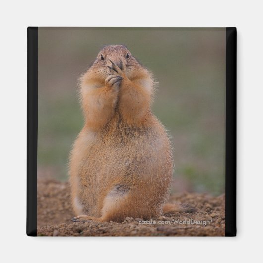 Prairie Dog Magneet (Voorkant)