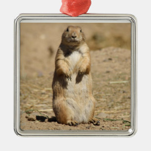 Prairie Dog Ornament