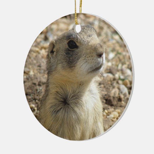 Prairie Dog Ornament (Links)