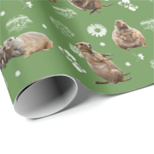 Prairie Dog Party wrapping Paper (groen) Cadeaupapier