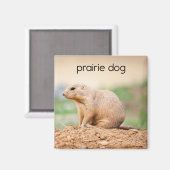 Prairie Dog Refkoelkast Magnet Magneet (Voorkant / Achterkant)