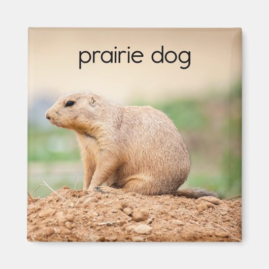 Prairie Dog Refkoelkast Magnet Magneet (Voorkant)