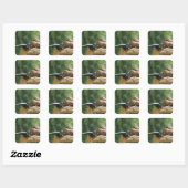 Prairie Dog Soldiers Stickers (Vel)