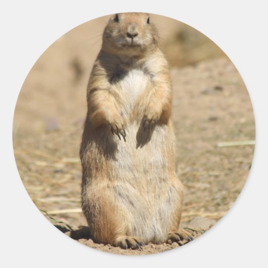 Prairie Dog Sticker (Voorkant)