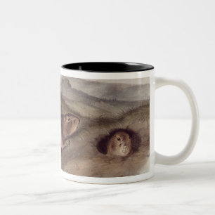 Prairie Dog uit 'Quadrupeds of North America' Tweekleurige Koffiemok