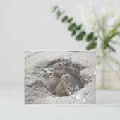 Prairie Dogs Briefkaart (Staand voorkant)