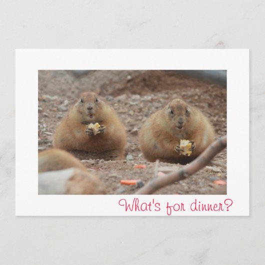 Prairie Dogs Eating Menu (Voorkant)