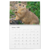 Prairie Dogs Kalender (Jan 2027)