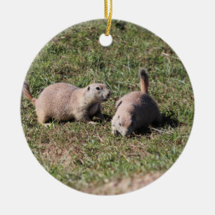 Prairie Dogs Play in Badlands National Park Keramisch Ornament