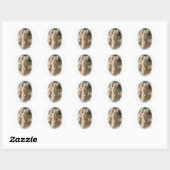 Prairie Dogs Sticker (Vel)