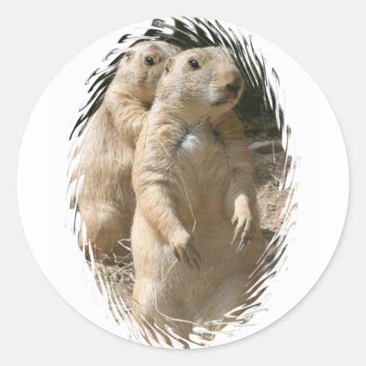 Prairie Dogs Sticker (Voorkant)
