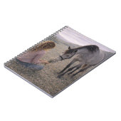 Prairie Douce | Art Équestre | Cahier (Côté gauche)