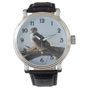 Prairie Falcon Horloge