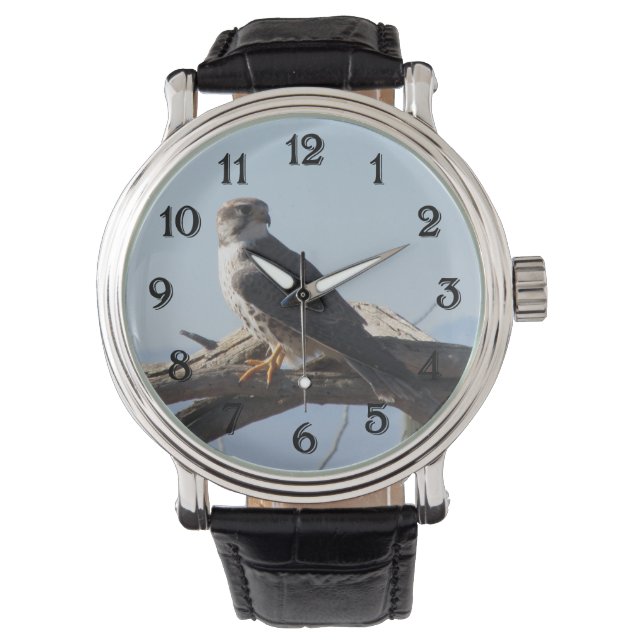 Prairie Falcon Horloge (Voorkant)