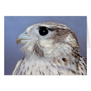 Prairie Falcon-kaart