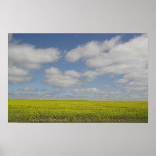 Prairie Fields Print Manitoba Landscape Prints (Voorkant)