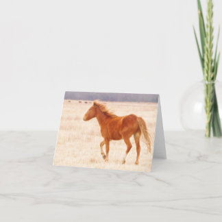 Prairie Fire Bedankkaart