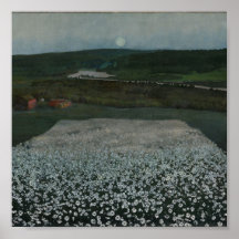 Prairie fleurie dans le Nord - Impression d'art fi