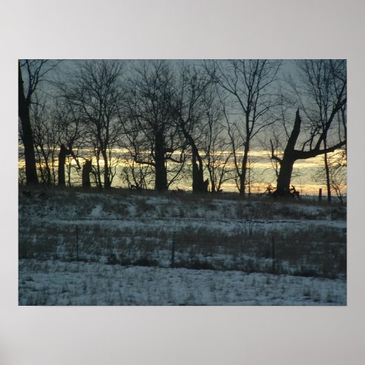 Prairie Gold Poster (Voorkant)