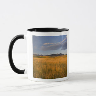 Prairie graslanden aan de voet van de mok