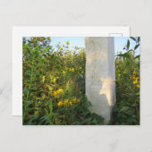 Prairie Gravestone, begraafplaats Bigelow, Ohio Briefkaart (Voorkant / Achterkant)