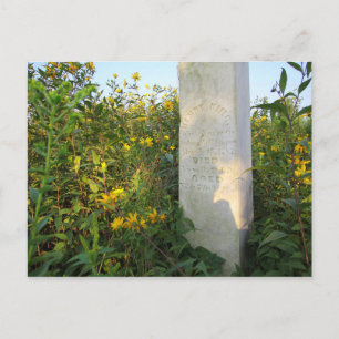 Prairie Gravestone, begraafplaats Bigelow, Ohio Briefkaart