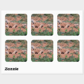 Prairie Hond Pups Vierkante Sticker (Vel)