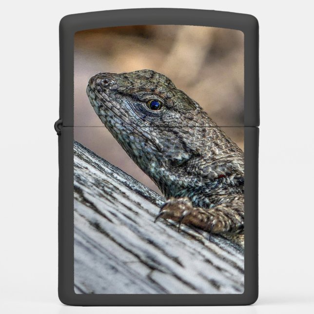 Prairie Lizard (Voorkant)