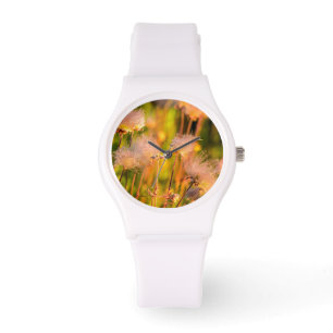 Prairie Smoke-wildbloemen in Aspen Grove Horloge