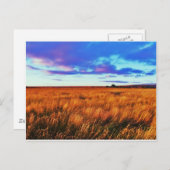 Prairie Sunset Briefkaart (Voorkant / Achterkant)