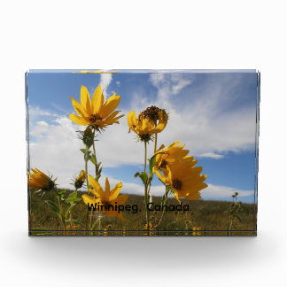 Prairie Sunset Fotoblokken