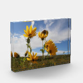 Prairie Sunset Fotoblokken (Links)