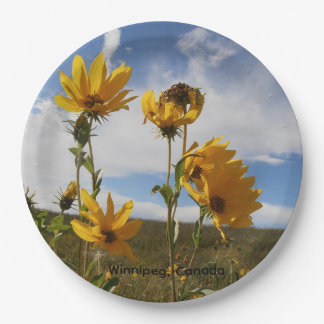 Prairie Sunset round paper plate Papieren Bordje