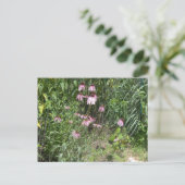 Prairie Uitzichten Briefkaart (Staand voorkant)