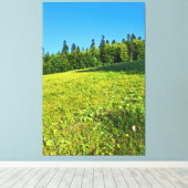 Prairie verte des Carpates – Impression de montagn (Insitu (Plancher de Bois))
