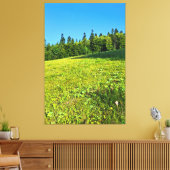 Prairie verte des Carpates – Impression de montagn (Insitu(Salon))