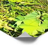 Prairie verte des Carpates – Impression de montagn (Coin)